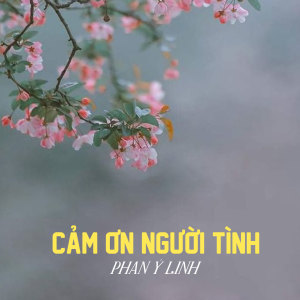 Listen to Cảm Ơn Người Tình song with lyrics from Phan Ý Linh