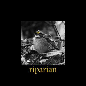 Album riparian from S. Meyers