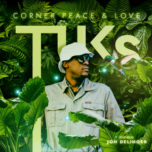 Listen to Corner Peace & Love song with lyrics from Tuks