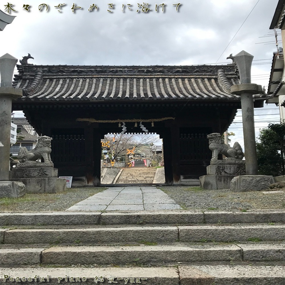 光と影が織り成す道