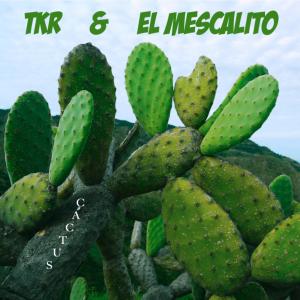 Listen to Cactus song with lyrics from TKR