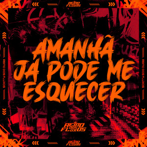 ดาวน์โหลดและฟังเพลง AMANHÃ JÁ PODE ME ESQUECER (Explicit) พร้อมเนื้อเพลงจาก DJ Will
