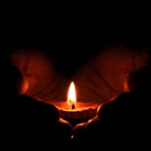 Album Oliyaanaay - Your Light Lives On from Senthuuran Thevarajah