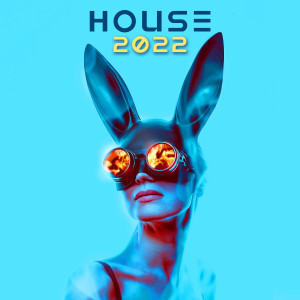 Album House 2022 from DJ Acid Hard House
