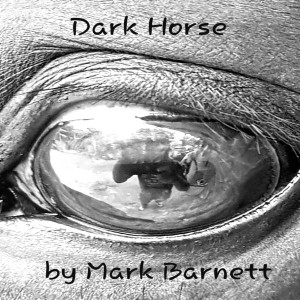 收听Mark Barnett的Phoenix from the Flames歌词歌曲