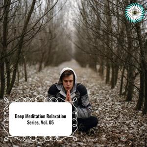 Album Deep Meditation Relaxation Series, Vol. 05 from 