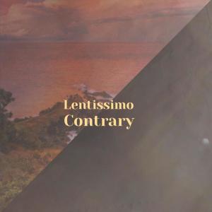 Album Lentissimo Contrary from Various