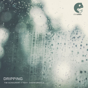 收聽Tim Schaufert的Dripping歌詞歌曲