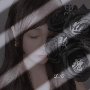 Listen to 黑色玫瑰 (伴奏) song with lyrics from 江芯