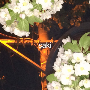 Listen to saki song with lyrics from fusae
