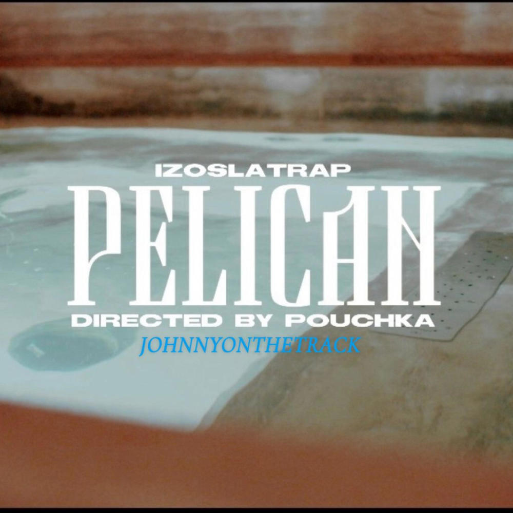 pelican (Explicit)