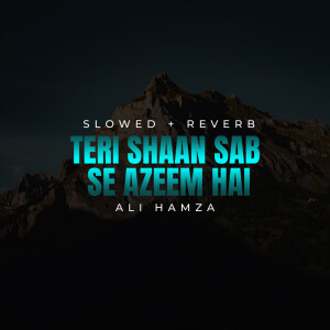 Album Teri Shaan Sab Se Azeem Hai Lofi from 