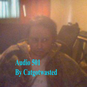 อัลบัม Audio 501 ศิลปิน Catgotwasted