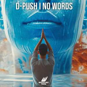 Listen to Now Words song with lyrics from D-Push