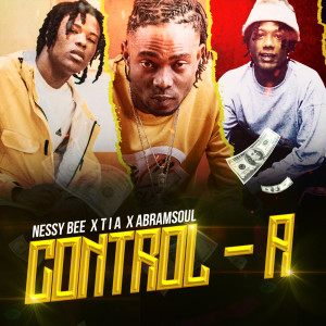 收聽Nessy Bee的Control A (Explicit)歌詞歌曲