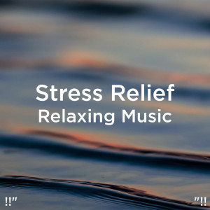 收聽Rain Sounds的Regn Lyder For Søvn歌詞歌曲