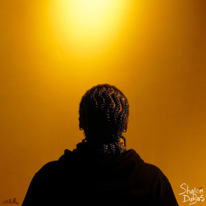 Album Gold. (Explicit) from Shalom Dubas