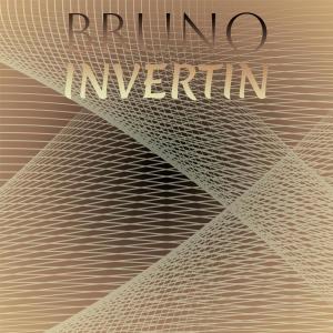 Various Artists的專輯Bruno Invertin