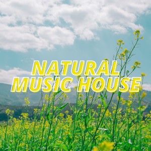 Album Natural Music House from Various Artists