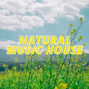 Listen to Happiness (Deep Voice Mix) song with lyrics from The Flyhigh Project