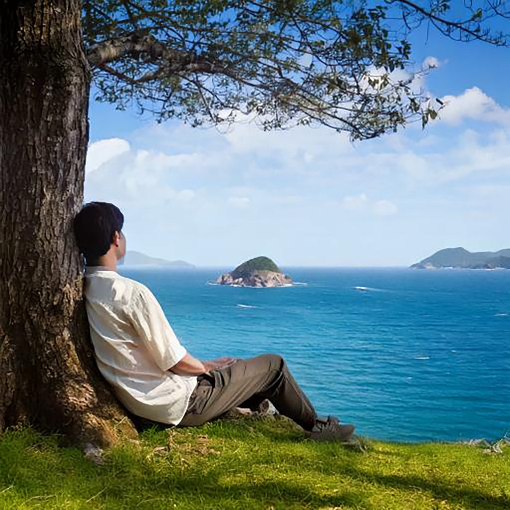 Gentle Dreams Tranquil Tunes