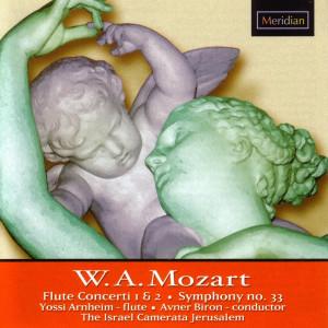 收聽Yossi Arnheim的Flute Concerto in G Major, K.313: I. Allegro maestoso歌詞歌曲