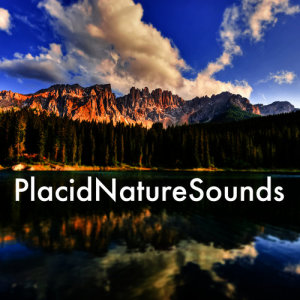 收聽Rest的Natural Waters歌詞歌曲