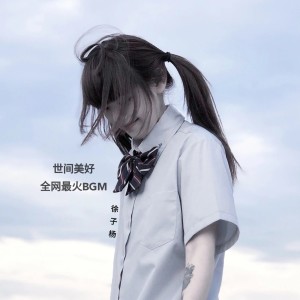 收聽徐子楊的心做し無心 (DJ版)歌詞歌曲