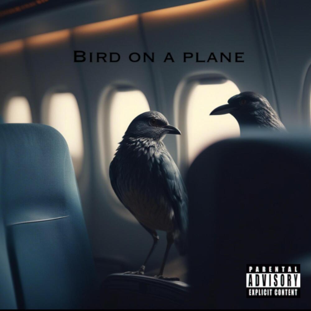 Bird On A Plane (Explicit)