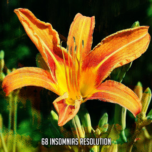 Best Relaxing Spa Music的专辑68 Insomnias Resolution