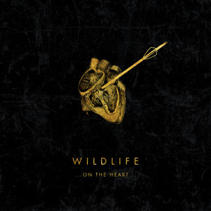 ดาวน์โหลดและฟังเพลง Pulse พร้อมเนื้อเพลงจาก Wildlife