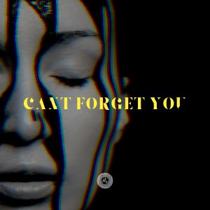Loka的專輯Can't Forget You