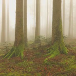 ดาวน์โหลดและฟังเพลง Smile For Me พร้อมเนื้อเพลงจาก Yoga Music