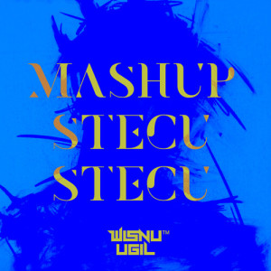 Listen to MASHUP STECU STECU song with lyrics from Wisnu Ugil