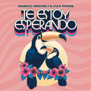 收聽Mauricio Mesones的Te estoy esperando歌詞歌曲