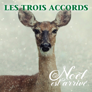 Les Trois Accords的專輯Noël est arrivé