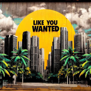 Listen to Like You Wanted (Explicit) song with lyrics from theJUiCEBOX
