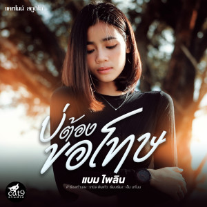 Listen to บ่ต้องขอโทษ song with lyrics from แบม ไพลิน