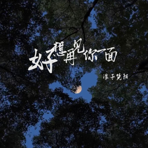 Album 好想再见你一面 from 浪子楚阳