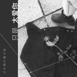 Album 只是太爱你 from 浪子康