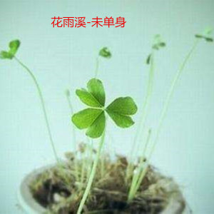 Dengarkan 未单身 (伴奏) lagu dari 花雨溪 dengan lirik