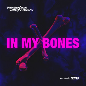 收聽Sunnery James & Ryan Marciano的In My Bones歌詞歌曲