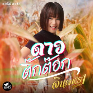 收聽Jintara Poonlarp的ดาวติ๊กต๊อก (Instrumental Version)歌詞歌曲