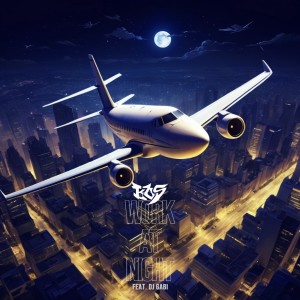 Listen to Work at Night (Feat. DJ Gabi) song with lyrics from BOS