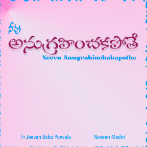 Album Neevu Anugrahinchakapothe from Naveen Madiri