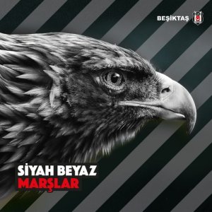 Listen to Hadi Hisset song with lyrics from Mustafa Sandal