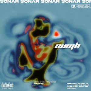 Sonar的專輯Numb (Explicit)