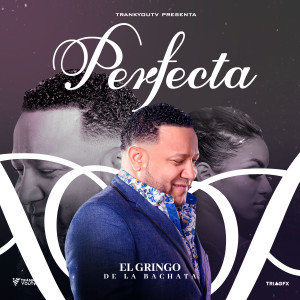 Listen to Perfecta song with lyrics from El Gringo de la bachata