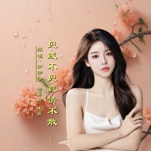 Album 见或不见真情不散DJ from 晓朋