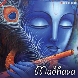 Listen to Hare Hare Krishna Radhe Radhe Shyam song with lyrics from Shailendra Bhartti